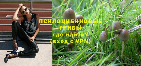 круглые Аркадак