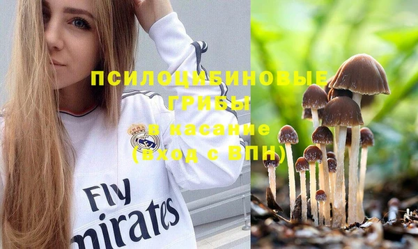 круглые Аркадак