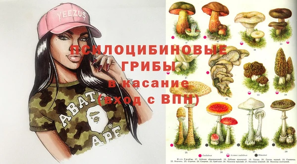 сатива Армянск