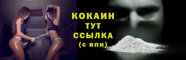 сатива Армянск