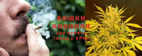 сатива Армянск