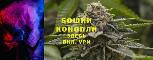 сатива Армянск