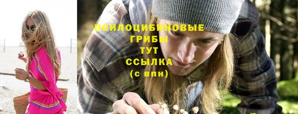 сатива Армянск