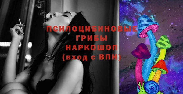 стаф Арсеньев