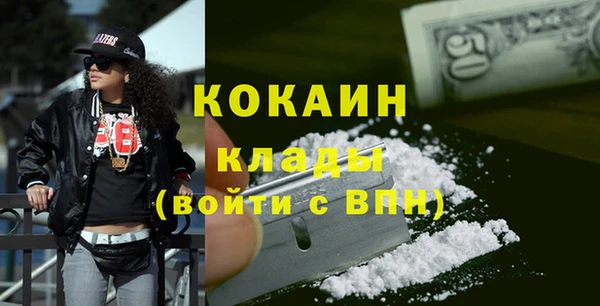 стаф Арсеньев