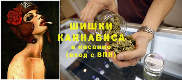 стаф Арсеньев