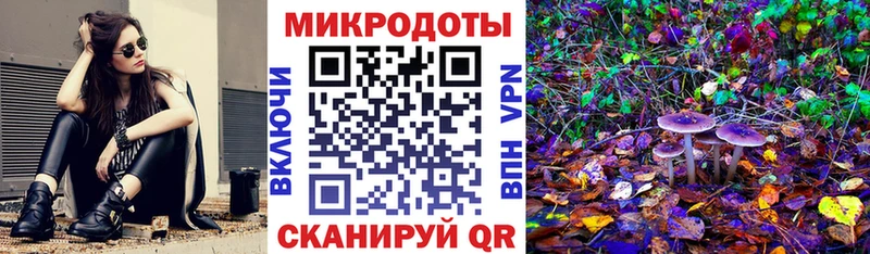 Псилоцибиновые грибы прущие грибы  Горняк 